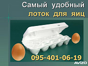 Лоток для яиц из ВПС Луганск ЛНР